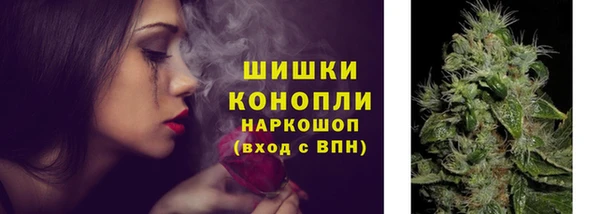 сатива Абдулино