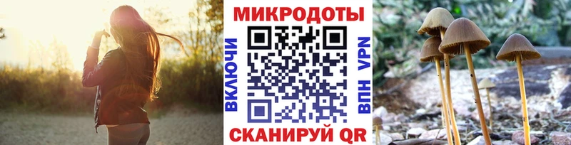 дарнет шоп  Княгинино  Псилоцибиновые грибы Psilocybine cubensis 